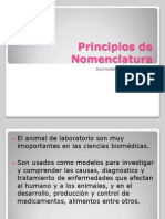 Principios de Nomenclatura