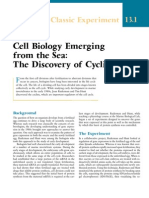 Cell Biology Emerging From The Sea: The Discovery of Cyclins