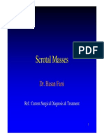 Scrotal Masses Dr. Hasan