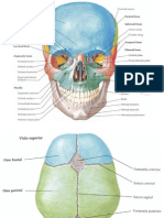 ANATOMIA (Slides para Alunos)