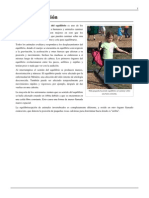 Equilibriocepción pdf-4