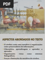 Organizações Vistas como Cérebros