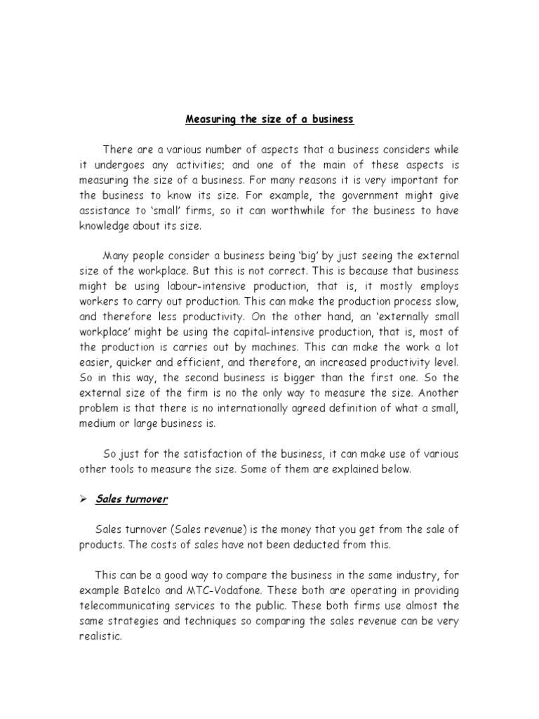 How to Measure Business Size Effectively | PDF | Market Share ...
