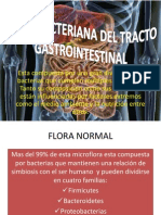 Flora Bacteriana Del Tracto Gastrointestinal
