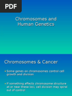 Download LectureChromsomes and Human Genetics Spr 2009 by owls_1102 SN21759504 doc pdf