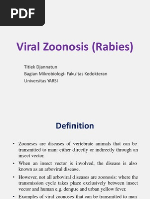 148066804 Viral Zoonosis Rabies Rabies Virus