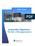 Anaerobic Digestors - The Role of Bioaugmentation