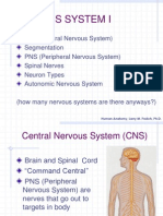 Nervous System i