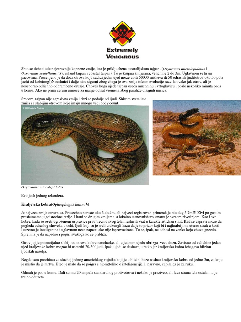 Ophidia | PDF