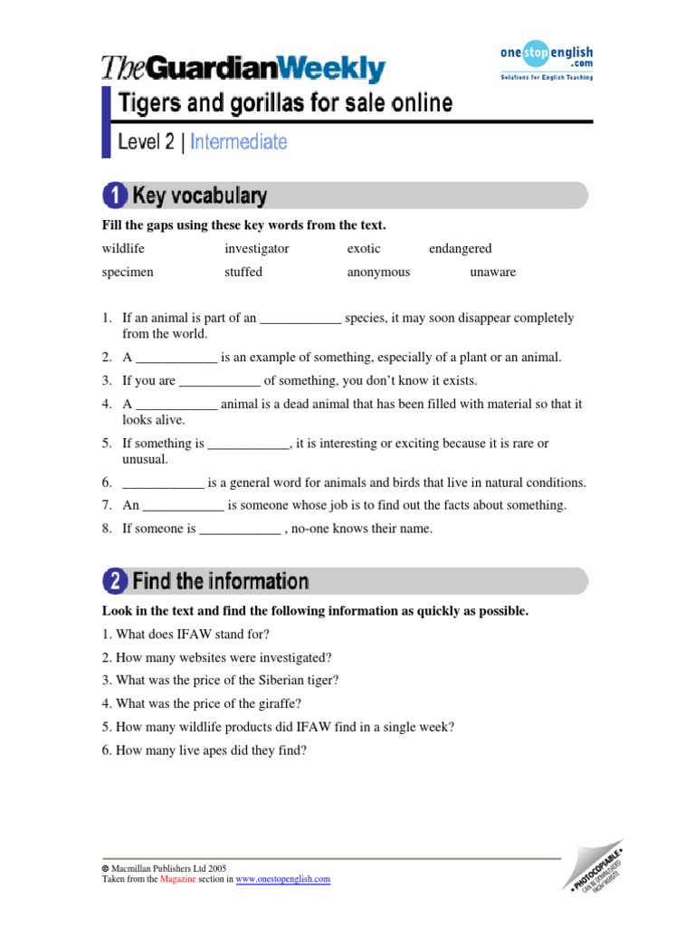 Guardian English Lesson Tigers And Gorillas For Sale O Endangered Species Wildlife