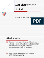 Kegawatdaruratan Uro