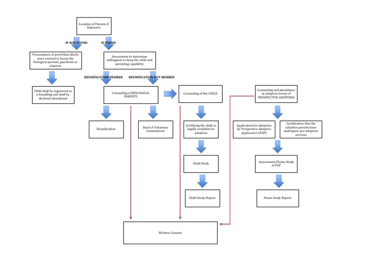 Adoption Process and Assessment Guide | PDF | Social Science | Wellness