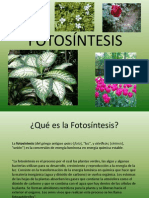 FOTOSÍNTESIS