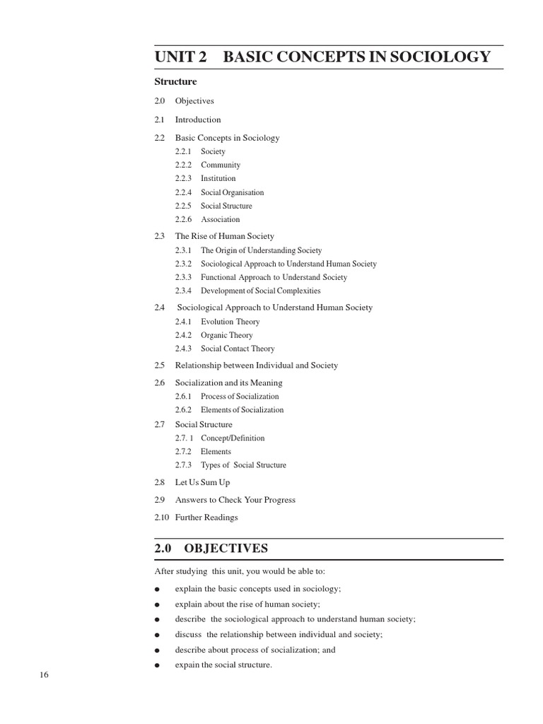 Key Concepts in Sociology Basics | PDF | Social Structure | Socialization