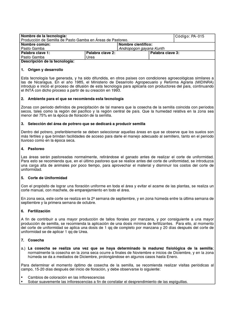 Producción de Semilla de Pasto Gamba | PDF | Semilla | Flores