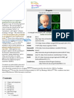 Webtopdf Document pdf3
