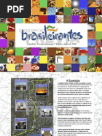 Publicação Expedição Brasileirantes