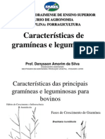 2 - Caracteristicas Gramíneas e Leguminosas