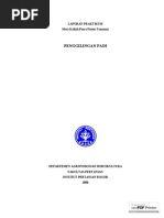 Download laporan-penggilingan-padipdf by ArdianAnnas SN217725231 doc pdf