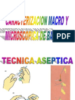 4 Caracterizacion Macro y Microscopica de Bacteria