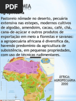 fricaeconomia-101026184807-phpapp02(1)