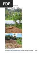 Download Metode Pelaksanaan Landscapedocx by sevsamra SN217764237 doc pdf