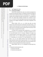 Download Tinjauan Pustaka by Irfangopan SN217772751 doc pdf