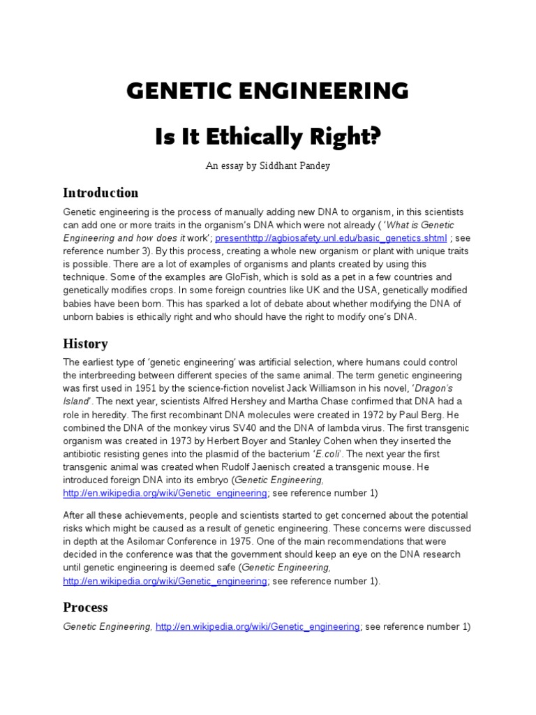 genetic engineering ethics essay