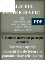6. Tip de Relief Petrografic II. Argila Marna Nisip Loess