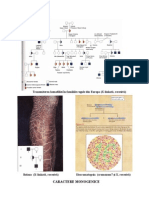 Caractere Monogenice 2