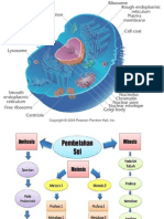 Ch02 - Meiosis & Mitosis