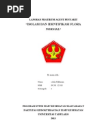 Download Isolasi Dan Identifikasi Flora Normal by Aulia Uda Rakhman SN217782880 doc pdf