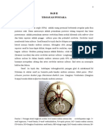 Bab II ACOUSTIC NEUROMA