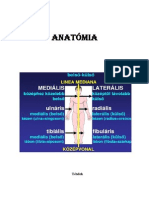 ANATÓMIA