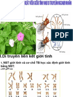 Di Truyen Lien Ket Gioi Tinh