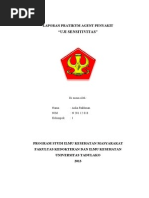 Download Uji Sensitivitas by Aulia Uda Rakhman SN217787510 doc pdf
