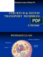 Bbc Slide Struktur Dan Sistem Transport Membran