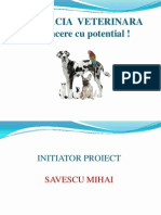 Plan Afacere Farmacie Veterinara