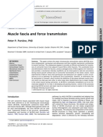 Muscle Fascia and Force Transmission: Peter P. Purslow, PHD