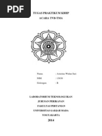 Jurnal alga hijau,merah dan coklat