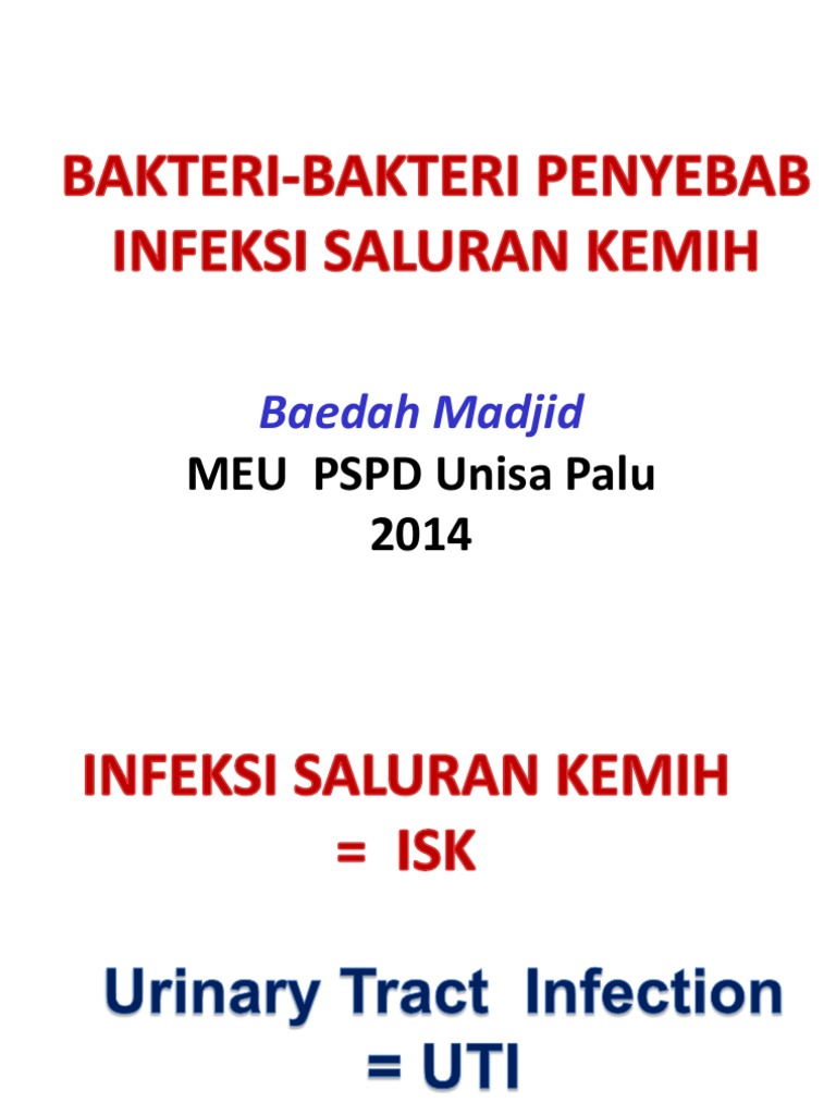 Bakteri Penyebab Isk