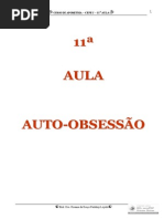 11A_AULA_AUTO_OBSESSAO.pdf