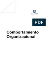 Comportamiento Organizacional - 2010