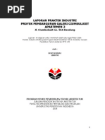 Download PDF by Dewi Nurani SN217867177 doc pdf