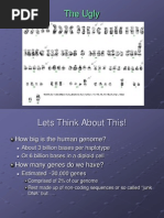 Chromosome Abnormalities