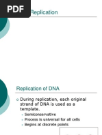 Replication - Transcription - Translation