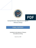 Rmi Cap Report 2009-Final