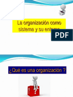 1 Organizacion Como Sistema