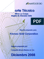 Informe Reservas 2008 - Mina La Coipa