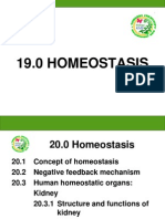19.0 Homeostasis